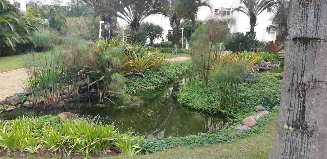 Apartamento, 3 quartos, 133 m² - Foto 41