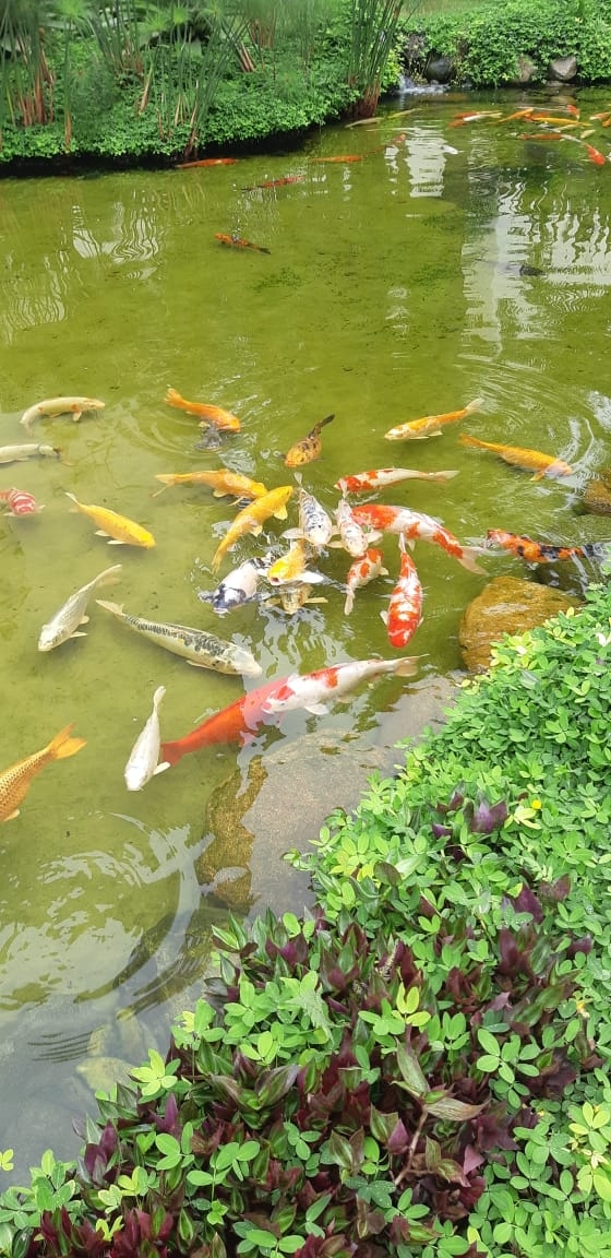 Apartamento, 3 quartos, 133 m² - Foto 39