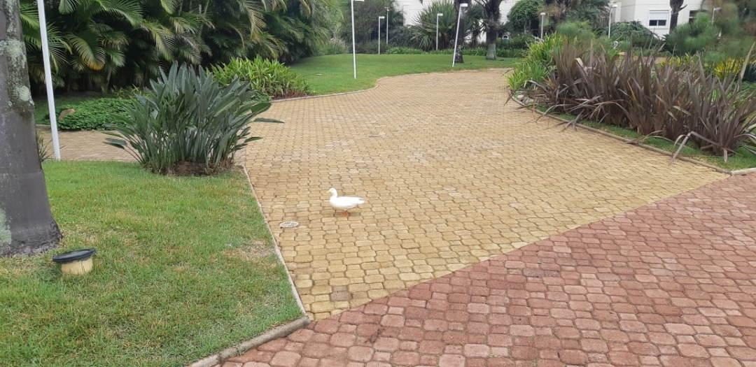 Apartamento, 3 quartos, 133 m² - Foto 40