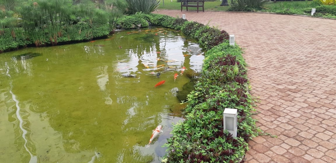 Apartamento, 3 quartos, 133 m² - Foto 23