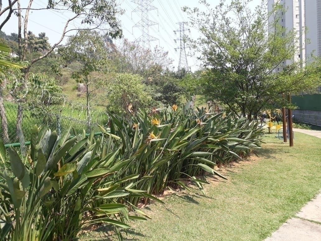 Apartamento, 3 quartos, 101 m² - Foto 47