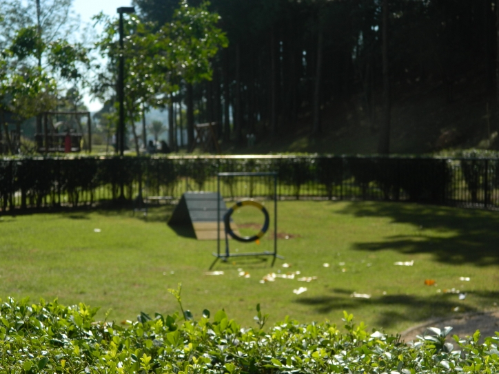 Apartamento, 3 quartos, 110 m² - Foto 53