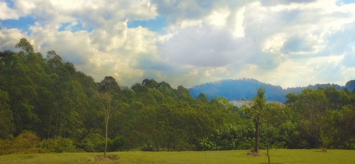 Casa de Condomínio, 3 quartos - Foto 35