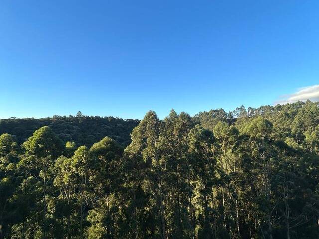 #3315 - Apartamento para Venda em Santana de Parnaíba - SP - 2