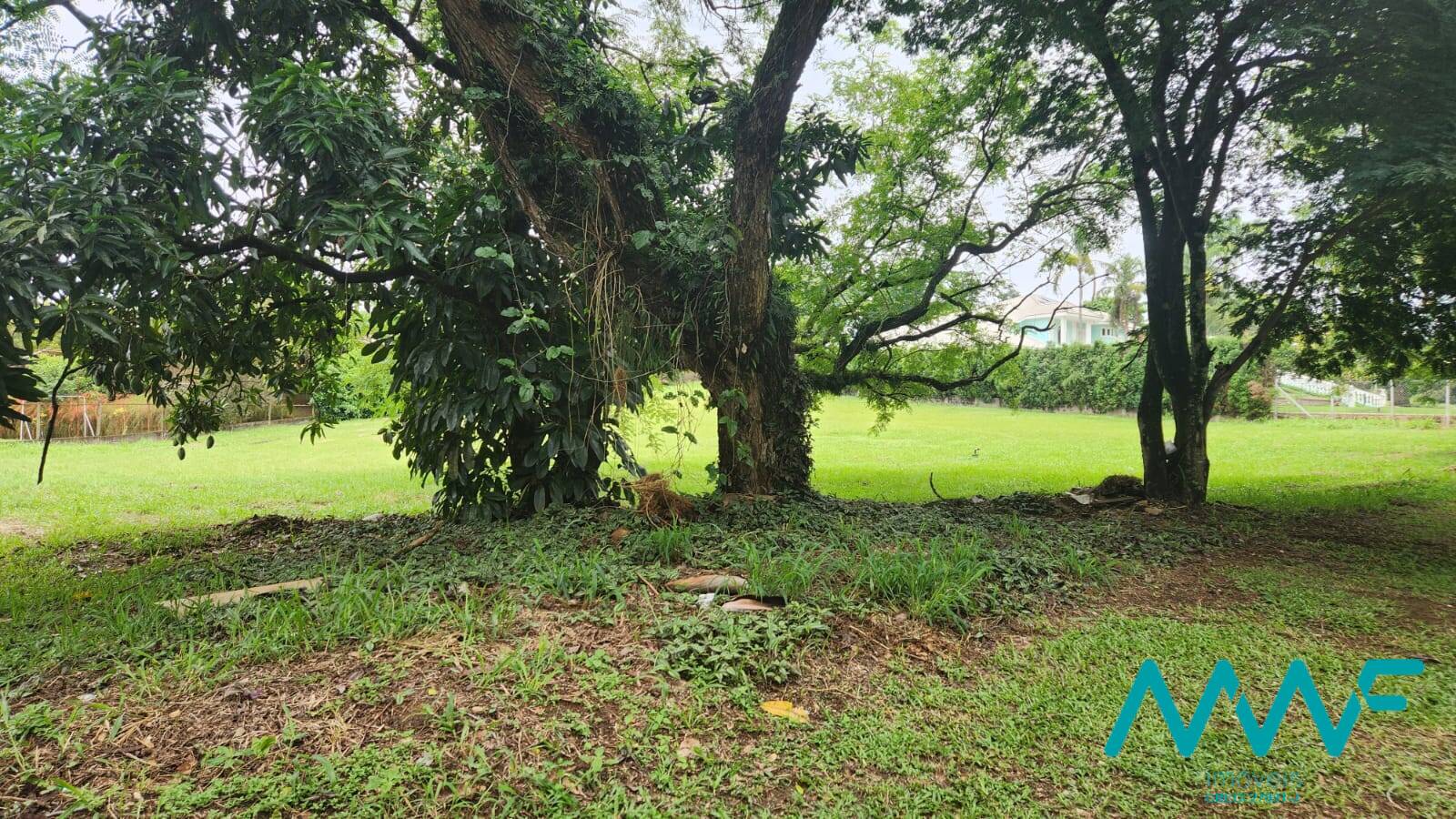 Terreno, 3070 m² - Foto 4